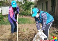 創城整治我先行 美麗社區齊夸贊