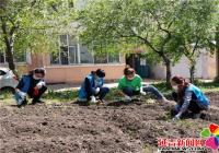 社區清理“私建菜園” 播撒花籽美化環境