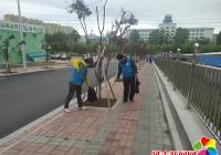 市委統戰部走進恒潤社區 志愿服務助力守城