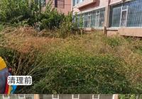 河南街道機關干部進社區 凝心聚力美化轄區環境